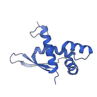 21421_6vwm_L_v1-0
70S ribosome bound to HIV frameshifting stem-loop (FSS) and P-site tRNA (non-rotated conformation, Structure I)