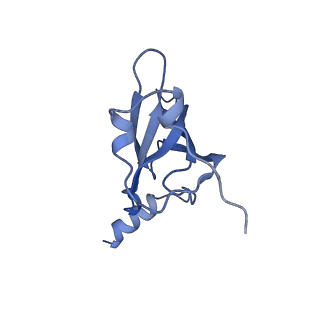 21421_6vwm_N_v1-0
70S ribosome bound to HIV frameshifting stem-loop (FSS) and P-site tRNA (non-rotated conformation, Structure I)