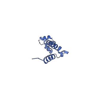 21421_6vwm_O_v1-0
70S ribosome bound to HIV frameshifting stem-loop (FSS) and P-site tRNA (non-rotated conformation, Structure I)