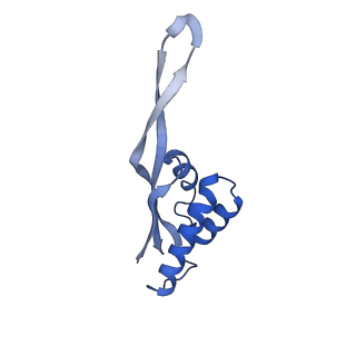 21421_6vwm_Q_v1-0
70S ribosome bound to HIV frameshifting stem-loop (FSS) and P-site tRNA (non-rotated conformation, Structure I)