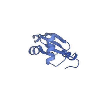 21421_6vwm_R_v1-0
70S ribosome bound to HIV frameshifting stem-loop (FSS) and P-site tRNA (non-rotated conformation, Structure I)