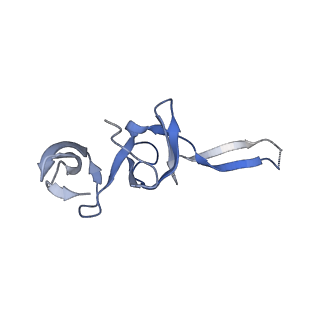 21421_6vwm_S_v1-0
70S ribosome bound to HIV frameshifting stem-loop (FSS) and P-site tRNA (non-rotated conformation, Structure I)