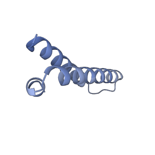 21421_6vwm_W_v1-0
70S ribosome bound to HIV frameshifting stem-loop (FSS) and P-site tRNA (non-rotated conformation, Structure I)