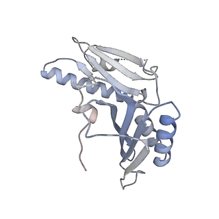 21421_6vwm_b_v1-0
70S ribosome bound to HIV frameshifting stem-loop (FSS) and P-site tRNA (non-rotated conformation, Structure I)