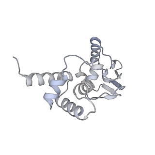 21421_6vwm_c_v1-0
70S ribosome bound to HIV frameshifting stem-loop (FSS) and P-site tRNA (non-rotated conformation, Structure I)