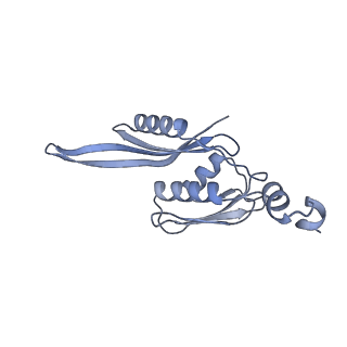 21421_6vwm_d_v1-0
70S ribosome bound to HIV frameshifting stem-loop (FSS) and P-site tRNA (non-rotated conformation, Structure I)