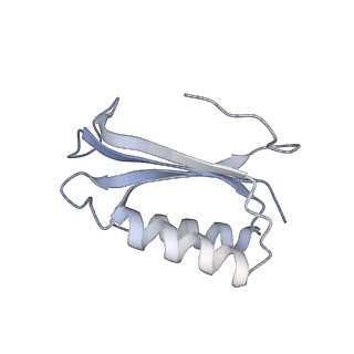 21421_6vwm_e_v1-0
70S ribosome bound to HIV frameshifting stem-loop (FSS) and P-site tRNA (non-rotated conformation, Structure I)