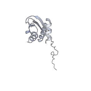 21421_6vwm_h_v1-0
70S ribosome bound to HIV frameshifting stem-loop (FSS) and P-site tRNA (non-rotated conformation, Structure I)