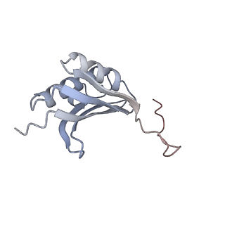 21421_6vwm_j_v1-0
70S ribosome bound to HIV frameshifting stem-loop (FSS) and P-site tRNA (non-rotated conformation, Structure I)