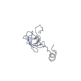 21421_6vwm_k_v1-0
70S ribosome bound to HIV frameshifting stem-loop (FSS) and P-site tRNA (non-rotated conformation, Structure I)