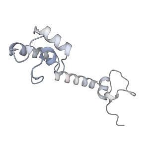 21421_6vwm_l_v1-0
70S ribosome bound to HIV frameshifting stem-loop (FSS) and P-site tRNA (non-rotated conformation, Structure I)
