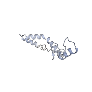 21421_6vwm_m_v1-0
70S ribosome bound to HIV frameshifting stem-loop (FSS) and P-site tRNA (non-rotated conformation, Structure I)