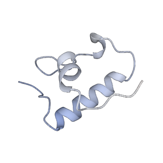 21421_6vwm_q_v1-0
70S ribosome bound to HIV frameshifting stem-loop (FSS) and P-site tRNA (non-rotated conformation, Structure I)