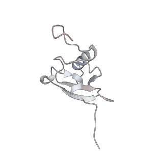 21421_6vwm_r_v1-0
70S ribosome bound to HIV frameshifting stem-loop (FSS) and P-site tRNA (non-rotated conformation, Structure I)