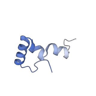 21422_6vwn_AA_v1-0
70S ribosome bound to HIV frameshifting stem-loop (FSS) and P-site tRNA (non-rotated conformation, Structure II)