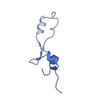 21422_6vwn_AB_v1-0
70S ribosome bound to HIV frameshifting stem-loop (FSS) and P-site tRNA (non-rotated conformation, Structure II)