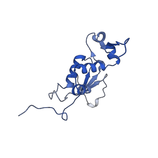 21422_6vwn_G_v1-0
70S ribosome bound to HIV frameshifting stem-loop (FSS) and P-site tRNA (non-rotated conformation, Structure II)
