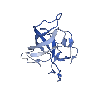 21422_6vwn_I_v1-0
70S ribosome bound to HIV frameshifting stem-loop (FSS) and P-site tRNA (non-rotated conformation, Structure II)