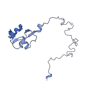 21422_6vwn_J_v1-0
70S ribosome bound to HIV frameshifting stem-loop (FSS) and P-site tRNA (non-rotated conformation, Structure II)