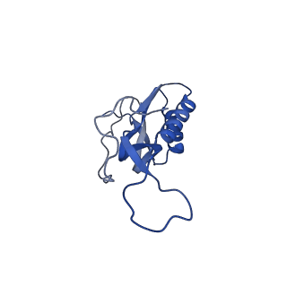 21422_6vwn_K_v1-0
70S ribosome bound to HIV frameshifting stem-loop (FSS) and P-site tRNA (non-rotated conformation, Structure II)