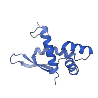 21422_6vwn_L_v1-0
70S ribosome bound to HIV frameshifting stem-loop (FSS) and P-site tRNA (non-rotated conformation, Structure II)