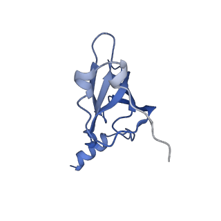 21422_6vwn_N_v1-0
70S ribosome bound to HIV frameshifting stem-loop (FSS) and P-site tRNA (non-rotated conformation, Structure II)