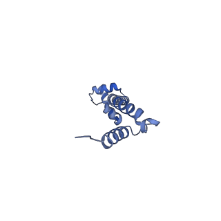 21422_6vwn_O_v1-0
70S ribosome bound to HIV frameshifting stem-loop (FSS) and P-site tRNA (non-rotated conformation, Structure II)