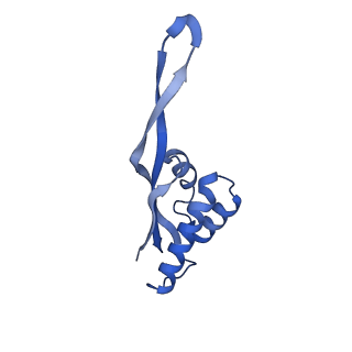 21422_6vwn_Q_v1-0
70S ribosome bound to HIV frameshifting stem-loop (FSS) and P-site tRNA (non-rotated conformation, Structure II)