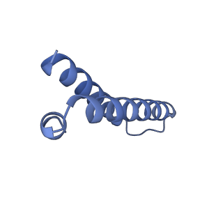 21422_6vwn_W_v1-0
70S ribosome bound to HIV frameshifting stem-loop (FSS) and P-site tRNA (non-rotated conformation, Structure II)
