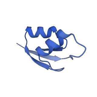 21422_6vwn_X_v1-0
70S ribosome bound to HIV frameshifting stem-loop (FSS) and P-site tRNA (non-rotated conformation, Structure II)