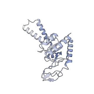 21422_6vwn_a_v1-0
70S ribosome bound to HIV frameshifting stem-loop (FSS) and P-site tRNA (non-rotated conformation, Structure II)