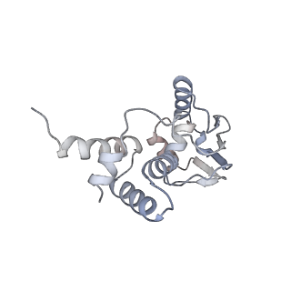21422_6vwn_c_v1-0
70S ribosome bound to HIV frameshifting stem-loop (FSS) and P-site tRNA (non-rotated conformation, Structure II)