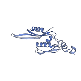 21422_6vwn_d_v1-0
70S ribosome bound to HIV frameshifting stem-loop (FSS) and P-site tRNA (non-rotated conformation, Structure II)
