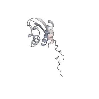 21422_6vwn_h_v1-0
70S ribosome bound to HIV frameshifting stem-loop (FSS) and P-site tRNA (non-rotated conformation, Structure II)