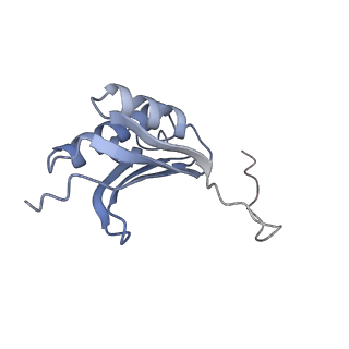 21422_6vwn_j_v1-0
70S ribosome bound to HIV frameshifting stem-loop (FSS) and P-site tRNA (non-rotated conformation, Structure II)