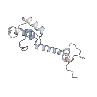 21422_6vwn_l_v1-0
70S ribosome bound to HIV frameshifting stem-loop (FSS) and P-site tRNA (non-rotated conformation, Structure II)