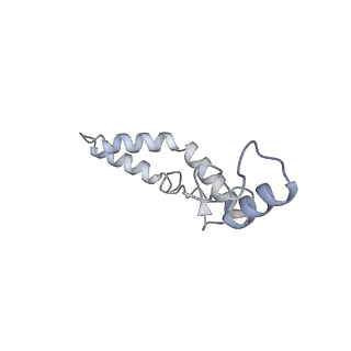 21422_6vwn_m_v1-0
70S ribosome bound to HIV frameshifting stem-loop (FSS) and P-site tRNA (non-rotated conformation, Structure II)