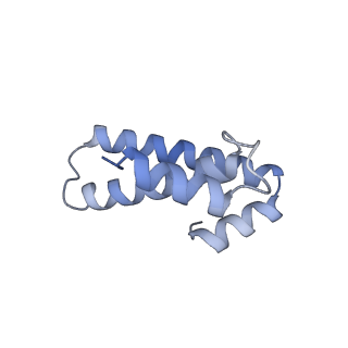 21422_6vwn_n_v1-0
70S ribosome bound to HIV frameshifting stem-loop (FSS) and P-site tRNA (non-rotated conformation, Structure II)