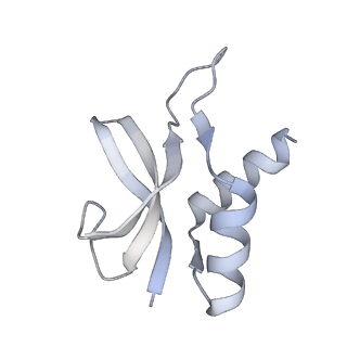 21422_6vwn_o_v1-0
70S ribosome bound to HIV frameshifting stem-loop (FSS) and P-site tRNA (non-rotated conformation, Structure II)