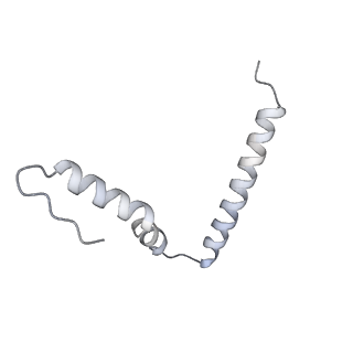 21422_6vwn_t_v1-0
70S ribosome bound to HIV frameshifting stem-loop (FSS) and P-site tRNA (non-rotated conformation, Structure II)
