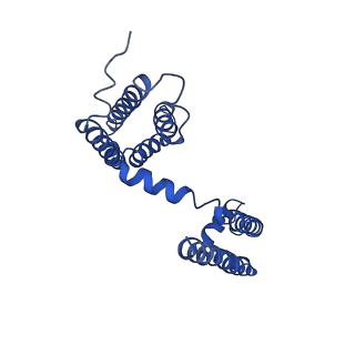 21425_6vwx_A_v1-1
NaChBac in lipid nanodisc