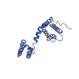 21425_6vwx_D_v1-1
NaChBac in lipid nanodisc