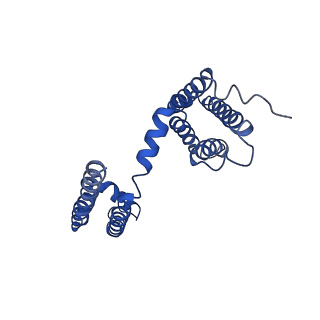 21425_6vwx_D_v1-2
NaChBac in lipid nanodisc