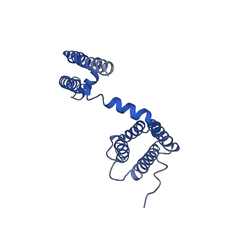 21425_6vwx_E_v1-1
NaChBac in lipid nanodisc