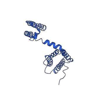 21425_6vwx_E_v1-2
NaChBac in lipid nanodisc