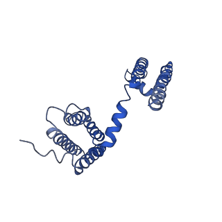 21425_6vwx_F_v1-1
NaChBac in lipid nanodisc