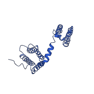 21425_6vwx_F_v1-2
NaChBac in lipid nanodisc