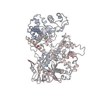 32104_7vw3_A_v1-0
Cryo-EM structure of SaCas9-sgRNA-DNA ternary complex