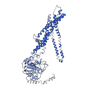 32152_7vwc_A_v1-1
Cryo-EM structure of human very long-chain fatty acid ABC transporter ABCD1