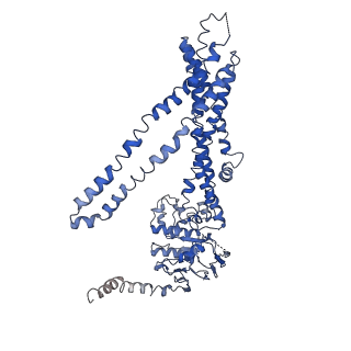 32152_7vwc_B_v1-1
Cryo-EM structure of human very long-chain fatty acid ABC transporter ABCD1